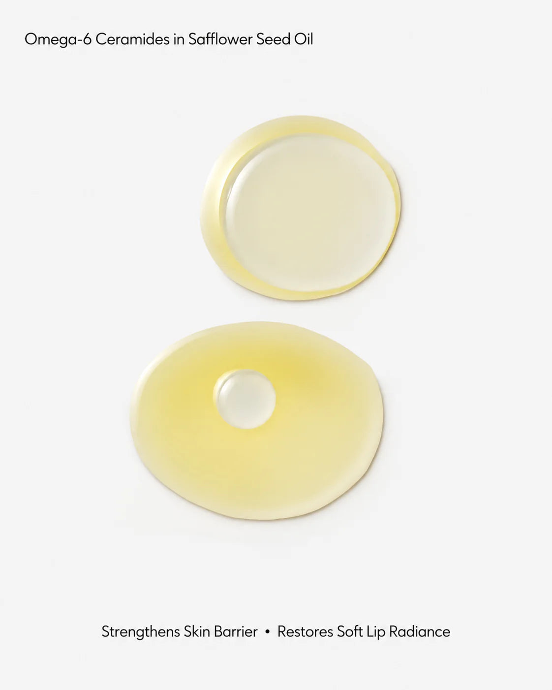 Omega 6 Ceramide Safflower